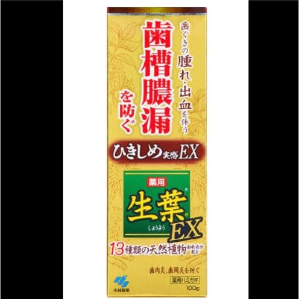日本代購】小林製藥生葉金色EX植物配方護齦牙膏100g | SHOPAN蝦片| 日本雜貨藥妝代購