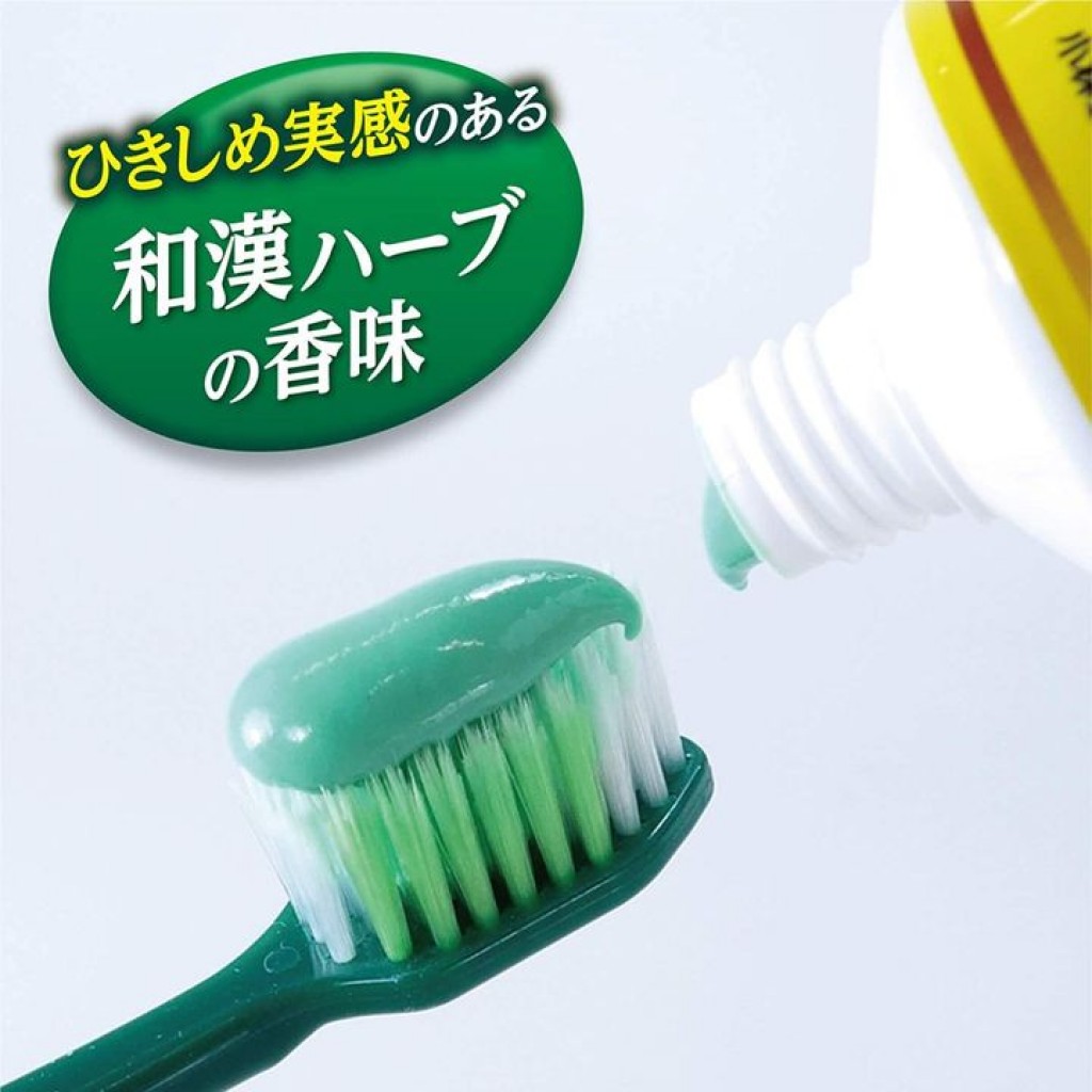 【日本代購】小林製藥生葉金色EX植物配方護齦牙膏100g